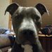 Profile Picture of Kevin Helton (Kevin Helton) (@kevin.hilton.9849) on Facebook