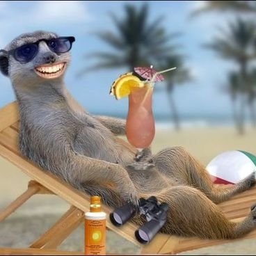 Profile Picture of Lozzsing (@Lorrainesing34) on Twitter