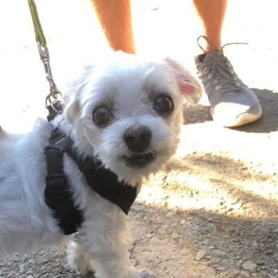 Profile Picture of Officialsara (@LarryAdkinsLis1) on Twitter