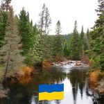 Profile Picture of Eric Grenon (@e.grenon) on Instagram