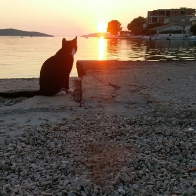 Profile Picture of Joe LaGrange (@joachim_SB) on Twitter