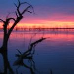 Profile Picture of Richard Chiaramonte (@richardchiaramo) on Pinterest
