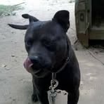 Profile Picture of Jeremy Roberts (@melvin.clevenger.2) on Facebook