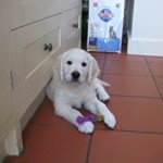 Profile Picture of Jeanette Haley (@jeanettehaley6171) on Instagram