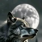 Profile Picture of Raymond Wolf (@Raymond-Wolf) on Facebook