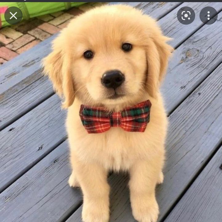 Profile Picture of Taylor samuels (@tyray376) on Tiktok