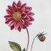 Profile Picture of Lucero Gonzalez (@golu) on Pinterest