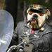 Profile Picture of Marty Higgins (@marty.higgins.7758) on Facebook