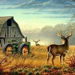 Profile Picture of Darrell Parkinson Sr. (@darrell.parkinson.9) on Facebook