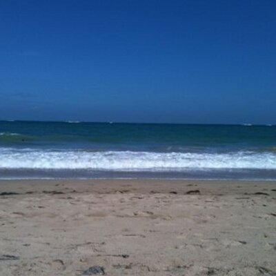 Profile Picture of Gisela Murray (@GiselaMurray1) on Twitter