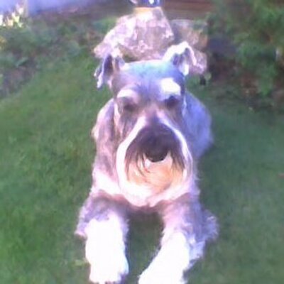 Profile Picture of David Ian Dunwoody (@DunwoodyIan) on Twitter