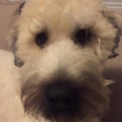 Profile Picture of Eric Scherer (@escherer7) on Twitter