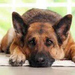 Profile Picture of roan de la torre (@stevens_1111) on Instagram