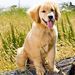 Profile Picture of Danielle Harbinson (@danielleharbinson) on Pinterest