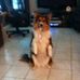 Profile Picture of Chuck Judge (@chuck.judge.5) on Facebook
