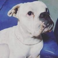 Profile Picture of Allan Gutierrez (@AllanGu03281271) on Twitter