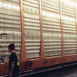 Profile Picture of Brane_Htm (@no.braner._) on Instagram