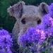 Profile Picture of Paula Coyle (@coyle0370) on Pinterest