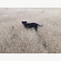 Profile Picture of Brad Von Essen (@brad-von-essen) on Quora