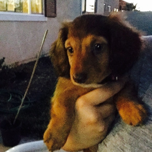 Profile Picture of Ray Cordero (@12abc) on Poshmark