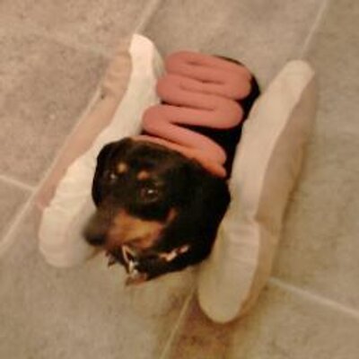 Profile Picture of Jeff Hardy (@jdhardy) on Twitter