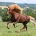 Profile Picture of Stacey Gellerman (@Stacey-Gellerman) on Facebook