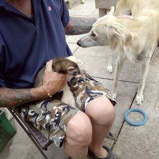 Profile Picture of Amanda Gibson (@amanda.gibson.5059601) on Facebook