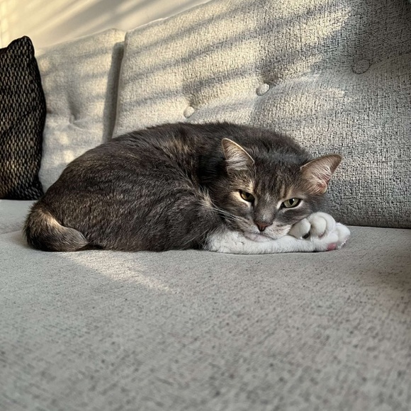 Profile Picture of Kyla Shumsky (@kylag_shumsky) on Poshmark