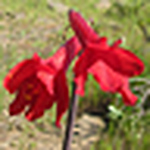 Profile Picture of Antonio Guzman (@el ojo en el cerro) on Flickr