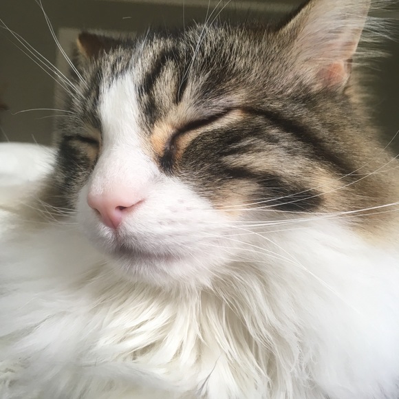 Profile Picture of Ben Pierson (@bpierson18) on Poshmark