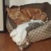 Profile Picture of Keith Carlson (@keith.carlson.946) on Facebook