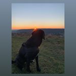 Profile Picture of 187girl❤ (@paulahenninger6) on Instagram