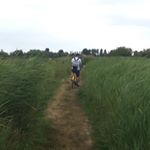 Profile Picture of Thomas Manhart (@thomas_manhart) on Instagram