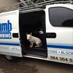 Profile Picture of Jared (@oneplumb_plumbing) on Instagram