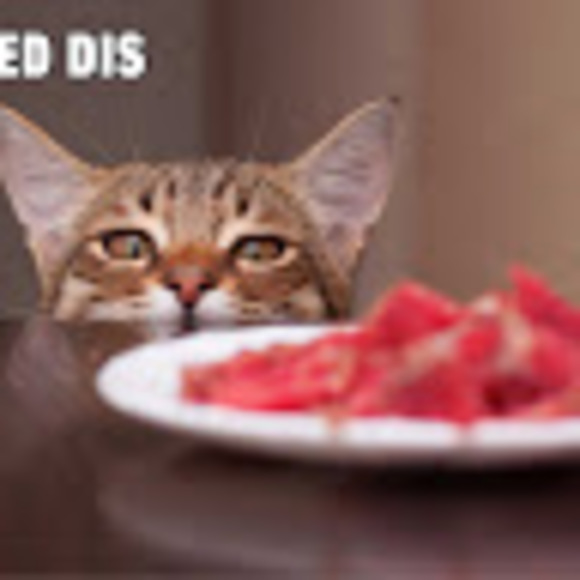 Profile Picture of Anthony Lozito (@aglozito) on Poshmark