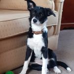 Profile Picture of Roy Prior (@roy.prior.794) on Instagram