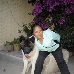 Profile Picture of Justy Pichardo (@justypichardo) on Tiktok