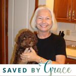 Profile Picture of Linda Marks Garrett (@lindamarksgarrett) on Instagram