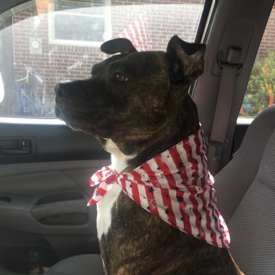 Profile Picture of Daniel McLaurin (@JDMcLaurin) on Twitter
