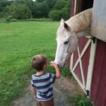 Profile Picture of Anne Lambert (@alloydlambert) on Instagram