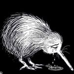 Profile Picture of Paul North (@the_nz_clops) on Instagram