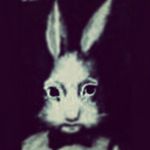 Profile Picture of christopher_cassette (@christopher_cassette) on Instagram
