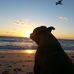 Profile Picture of Todd Baker (@todd.baker.9231) on Facebook