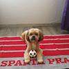Profile Picture of Josef Stanek (@@josefstanek8) on Tiktok
