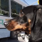 Profile Picture of Francis Echeverria (@Francis-Echeverria) on Facebook