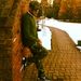 Profile Picture of Matthew Brown (@mattanglez) on Pinterest