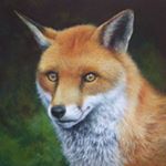 Profile Picture of simonefox (@simoecherchi) on Instagram