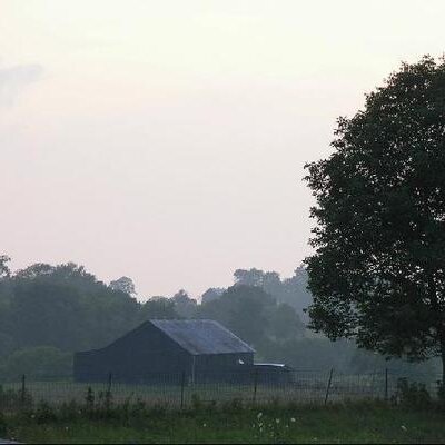 Steve Netherton - Twitter Profile Picture of Steve Netherton (@Catfish54) on Twitter