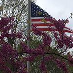 Profile Picture of Steven Bingham (@steven.bingham3) on Instagram