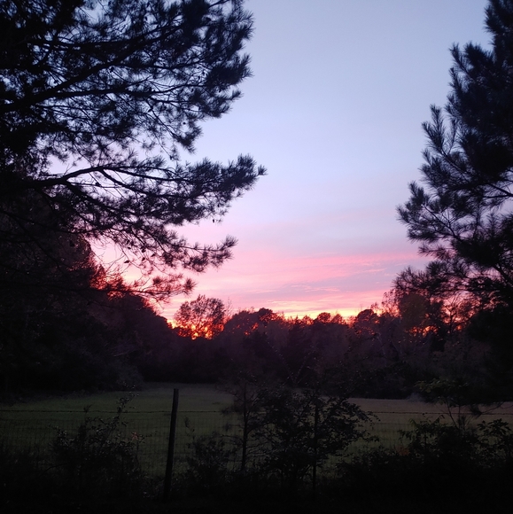 Niki Frerer - Poshmark Profile Picture of Niki Frerer (@nikijo23) on Poshmark